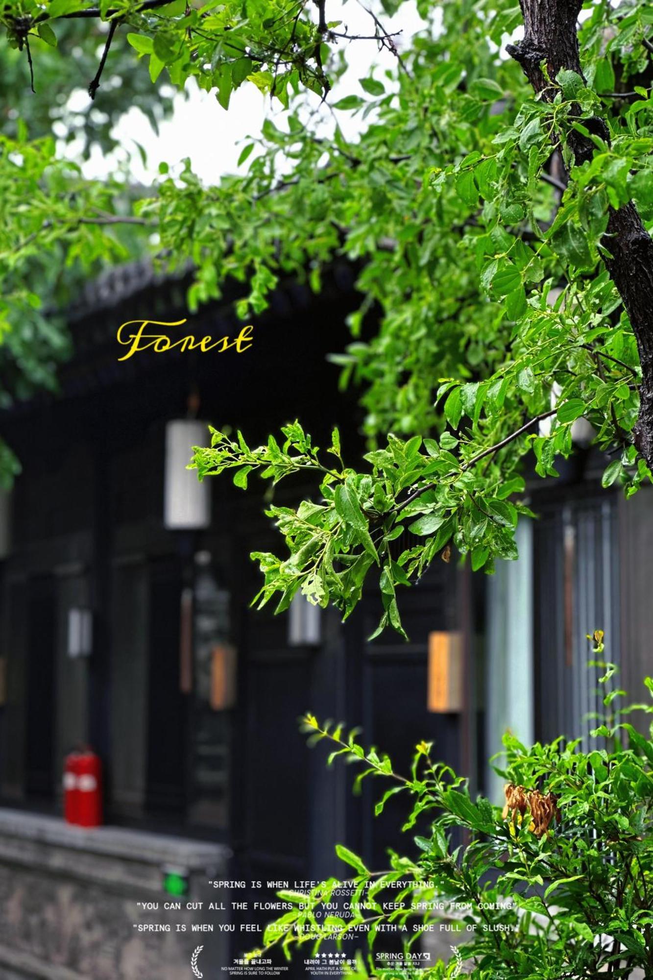 Elsewhere Hotel Inn North Street Branch Pingyao Zewnętrze zdjęcie